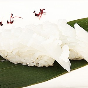Cuttlefish Sushi
